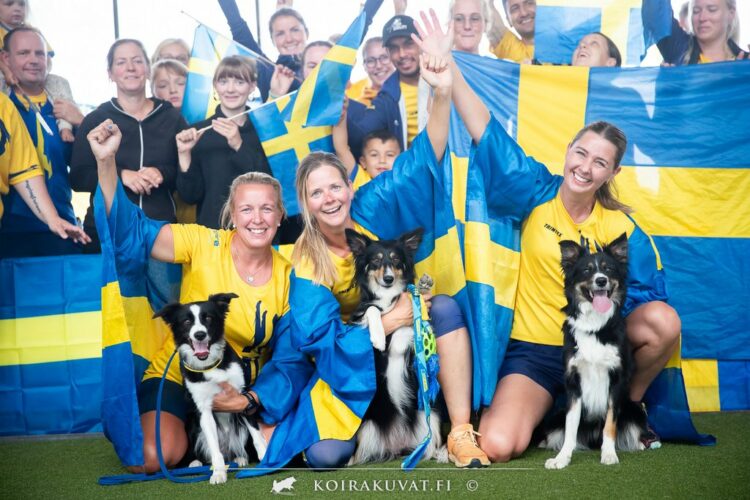 Sweden wins by far the majority of all medals at the Nordic Championship 2024