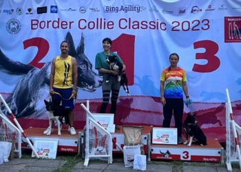 Results Border Collie Classics 2023