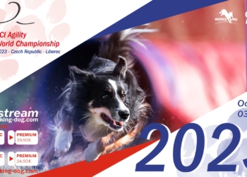 All information about the live stream of the Agility World Championship 2023