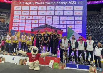 FCI Agility World Championship 2022
