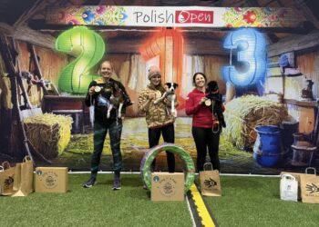 Results Polish Open Soft 2024