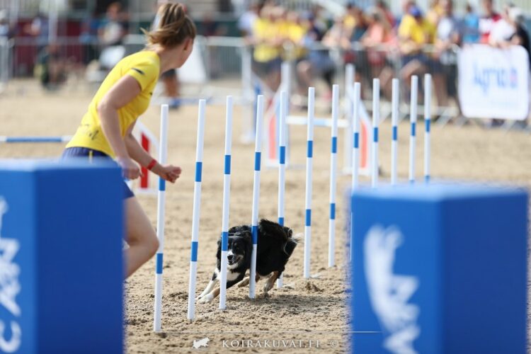European Open 2024: Individual finalists Intermediate