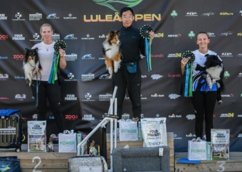 Results Luleå Open 2023